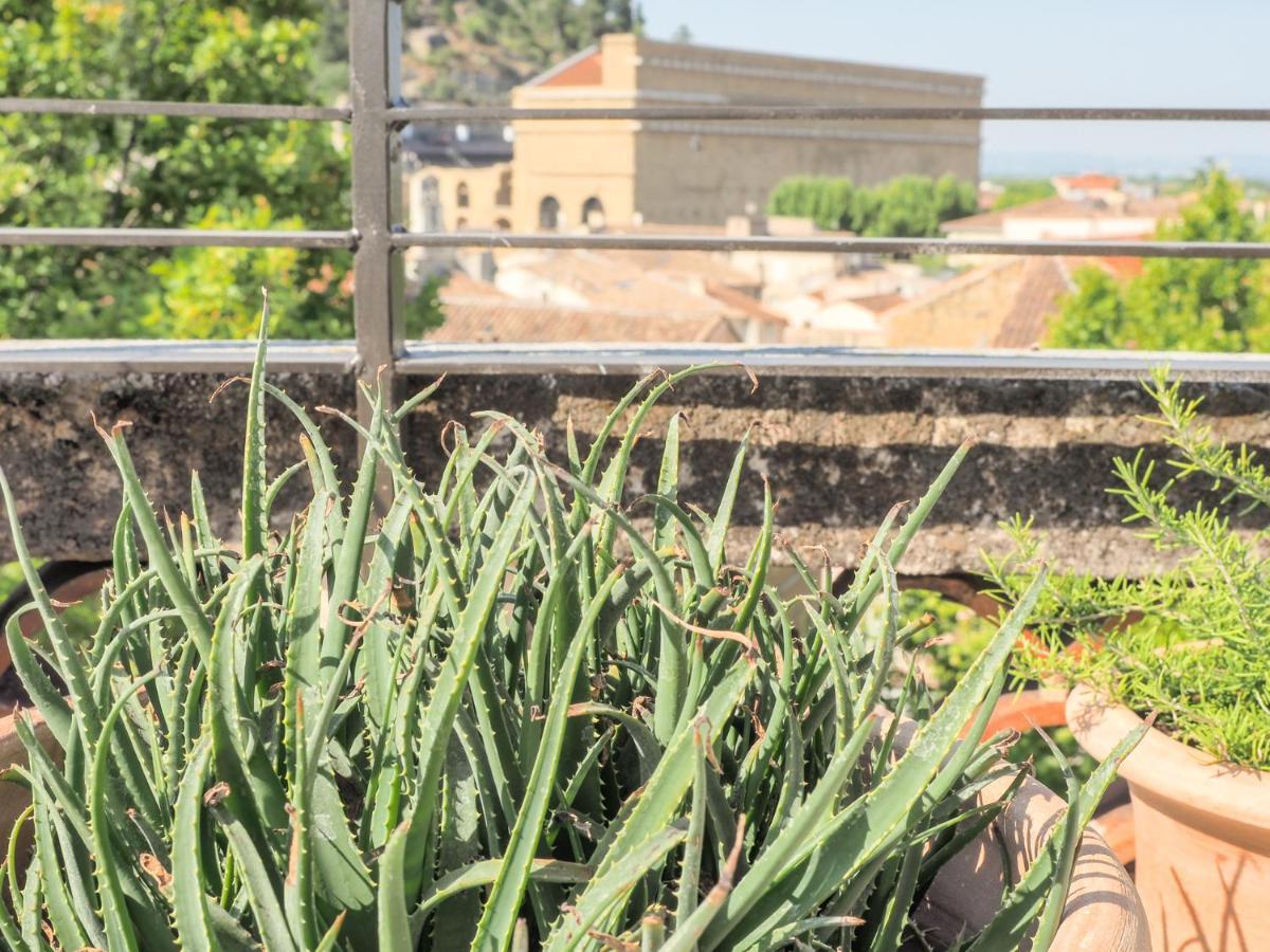 Le Rooftop - Vue Incroyable Sur Le Theatre Antique * Orange (Vaucluse)